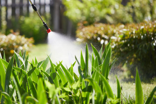 24/7 Emergency Ant Control experts in Mobile, AL