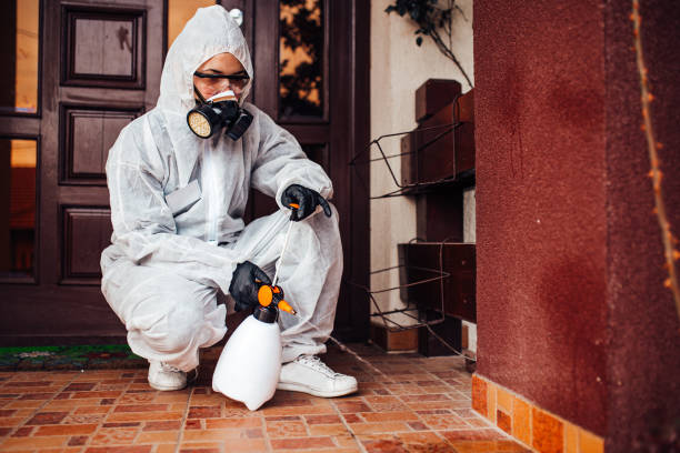 Reliable Ant Control contractor in Mobile, AL by Show Me Pest Control